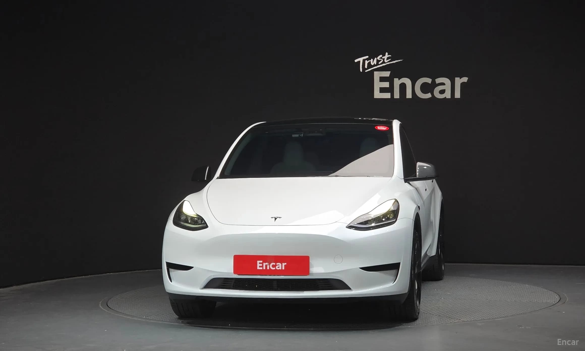 Model Y