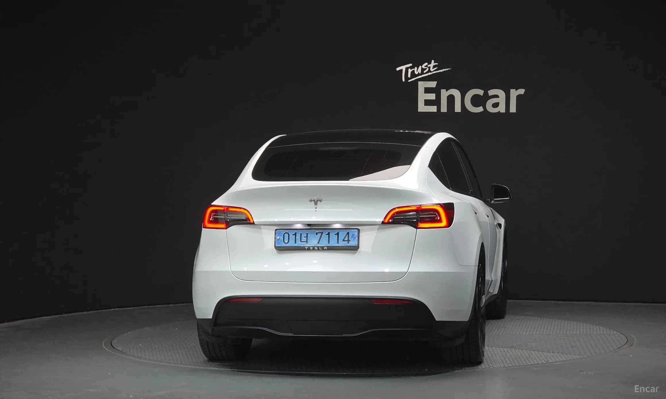 Model Y