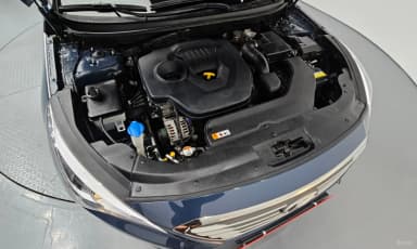 LF Sonata