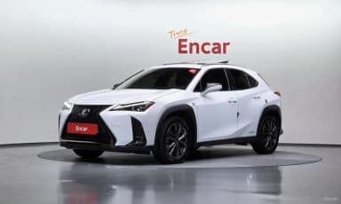UX250h