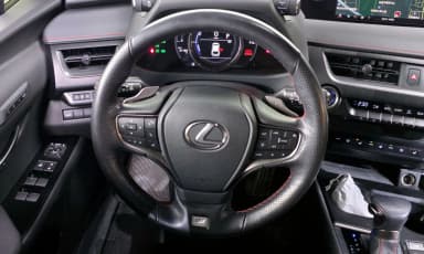 UX250h
