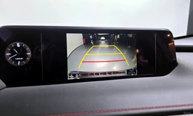 UX250h