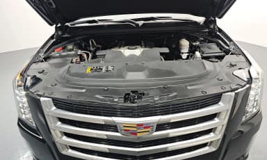 Escalade