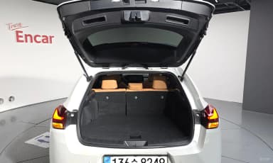 UX250h