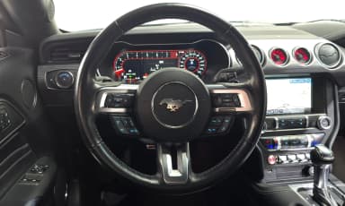 Mustang