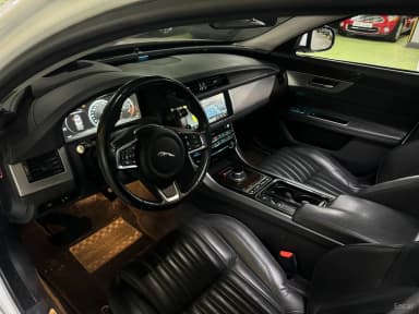 XF (x260)