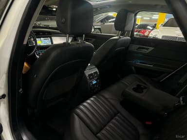 XF (x260)