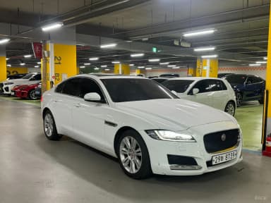 XF (x260)
