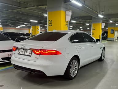 XF (x260)