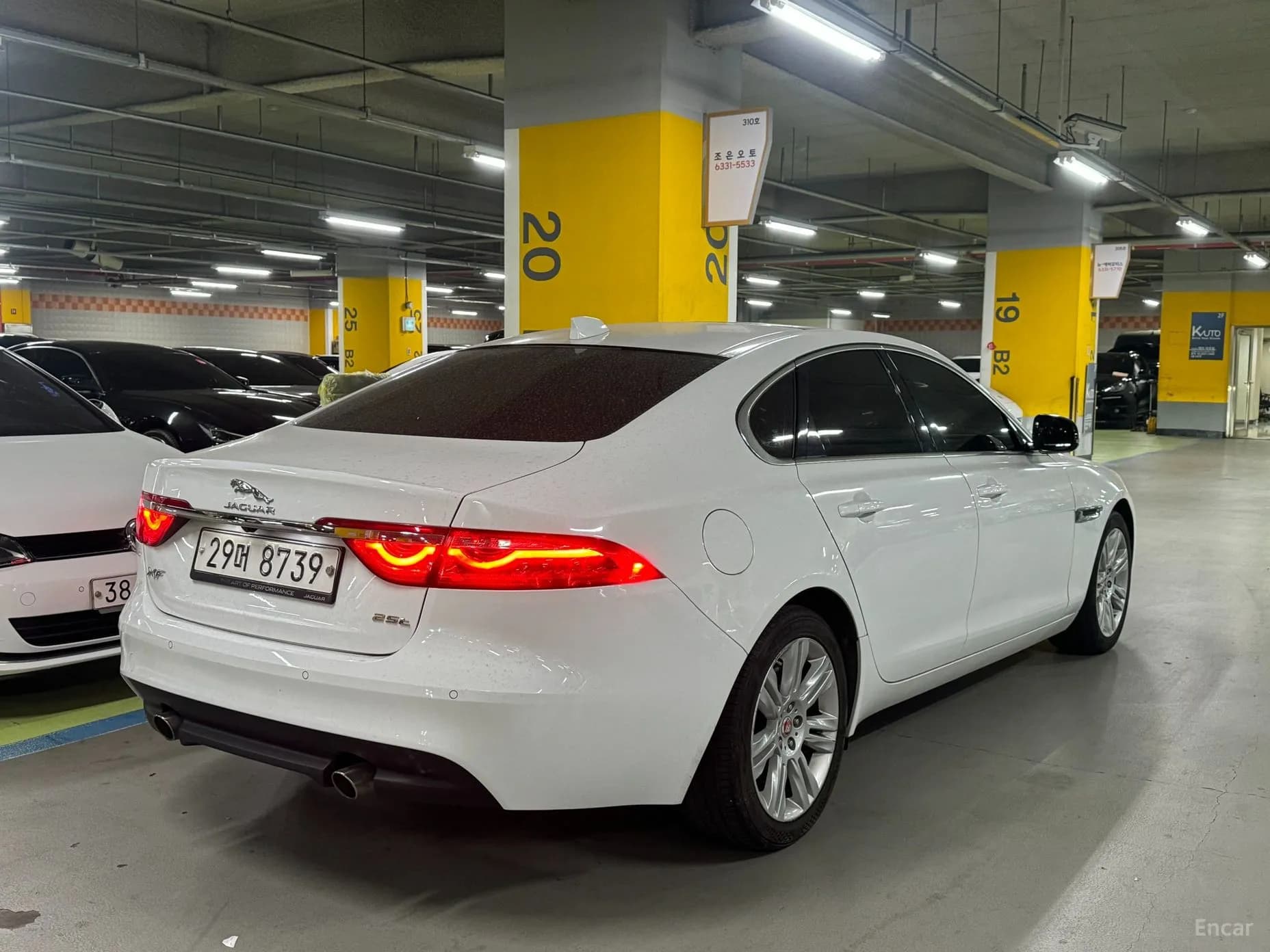 XF (x260)
