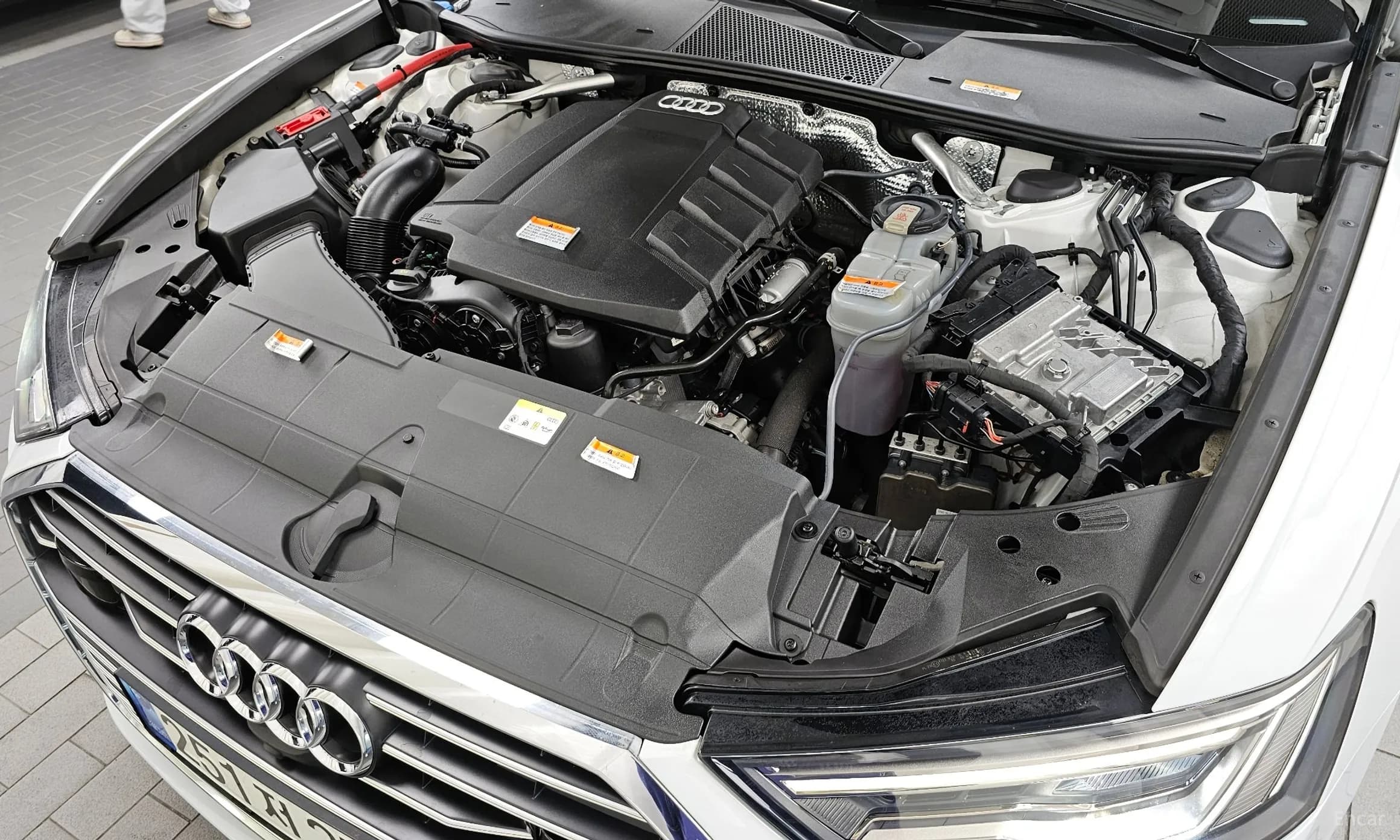A6 (C8)