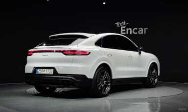 Cayenne (PO536)