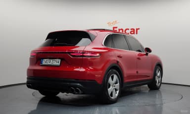 Cayenne (PO536)