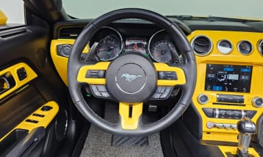 Mustang