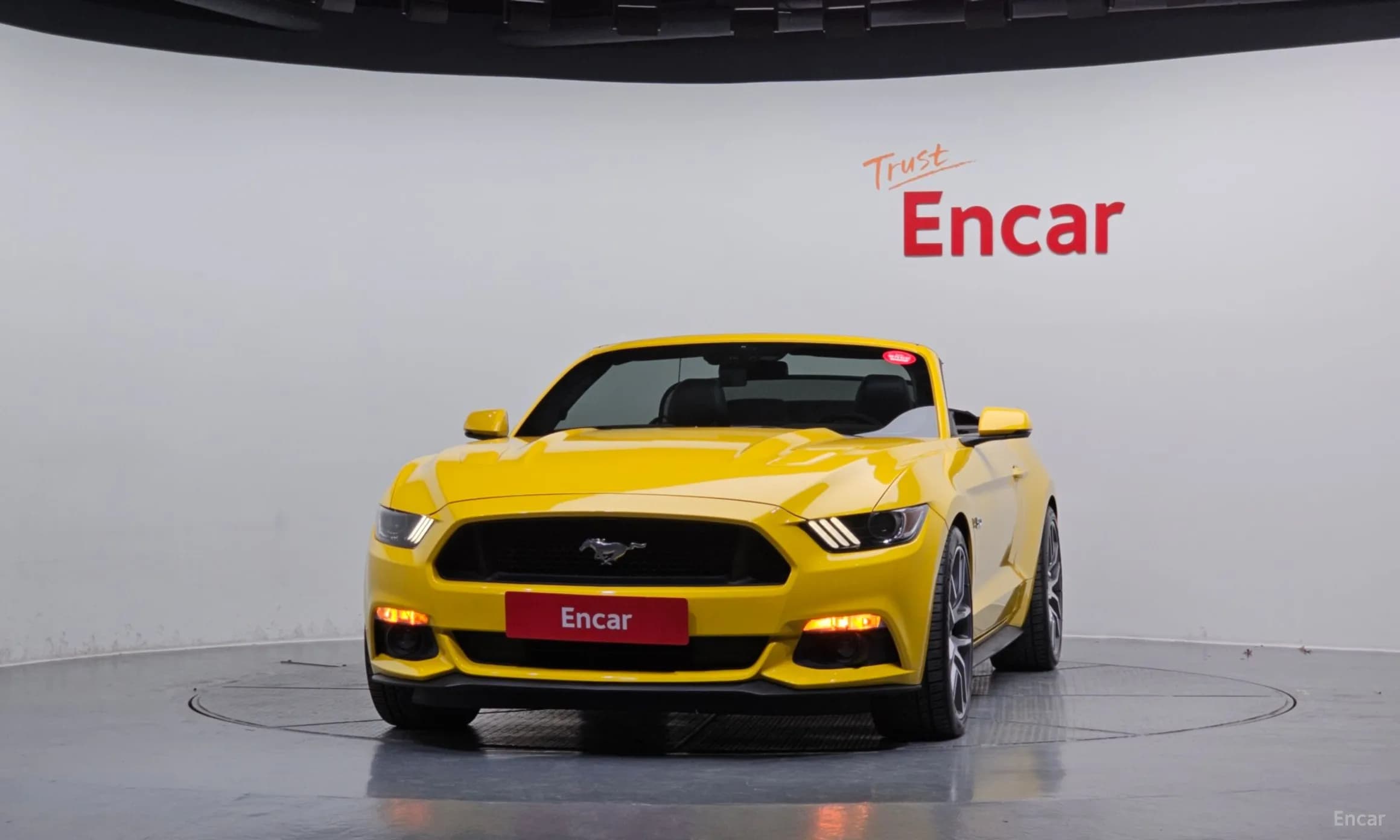 Mustang