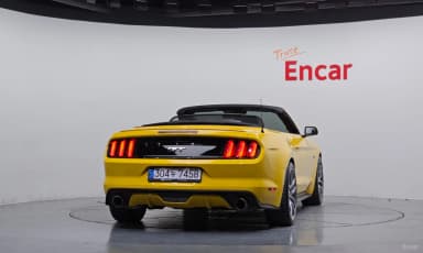 Mustang