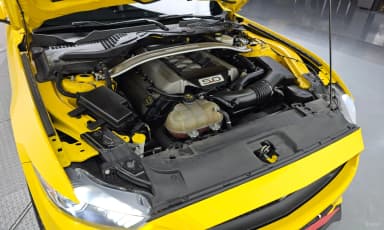 Mustang