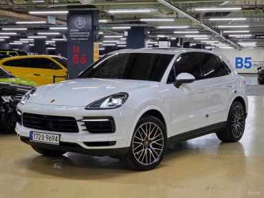 Cayenne (PO536)