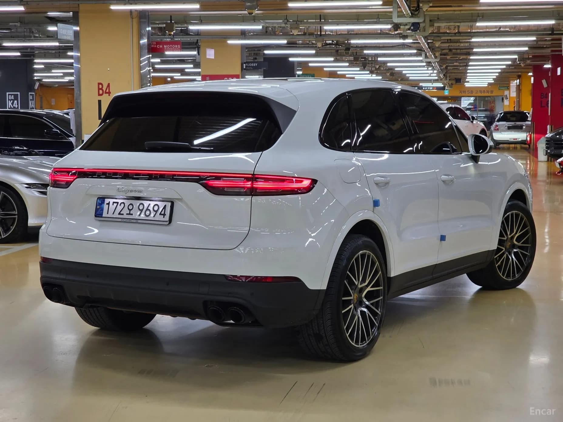 Cayenne (PO536)