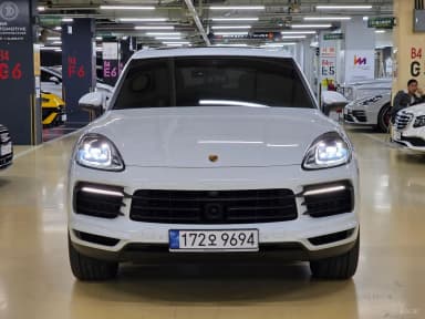 Cayenne (PO536)