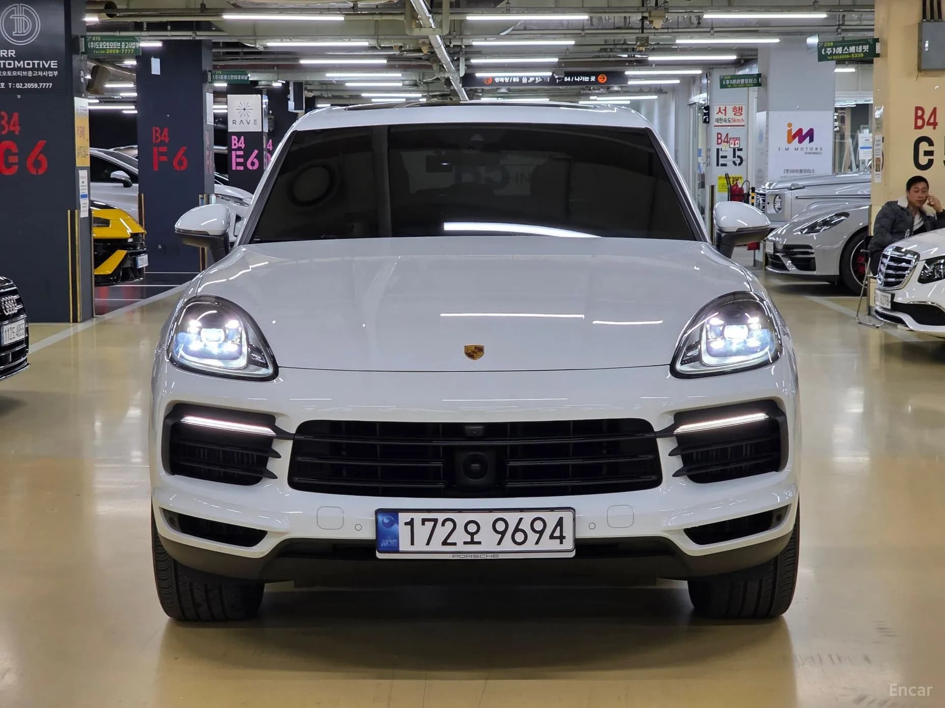 Cayenne (PO536)