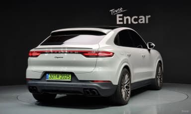 Cayenne (PO536)