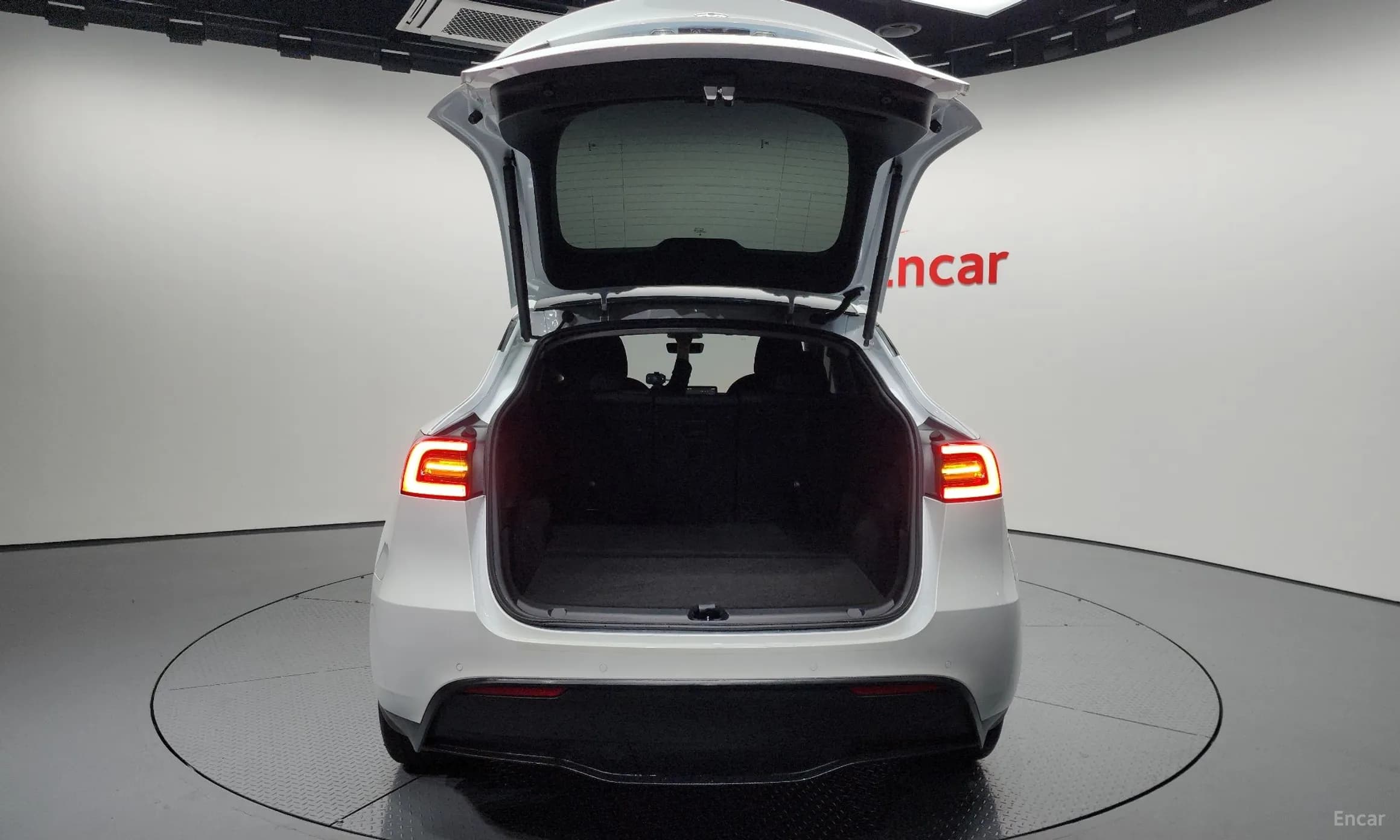 Model Y