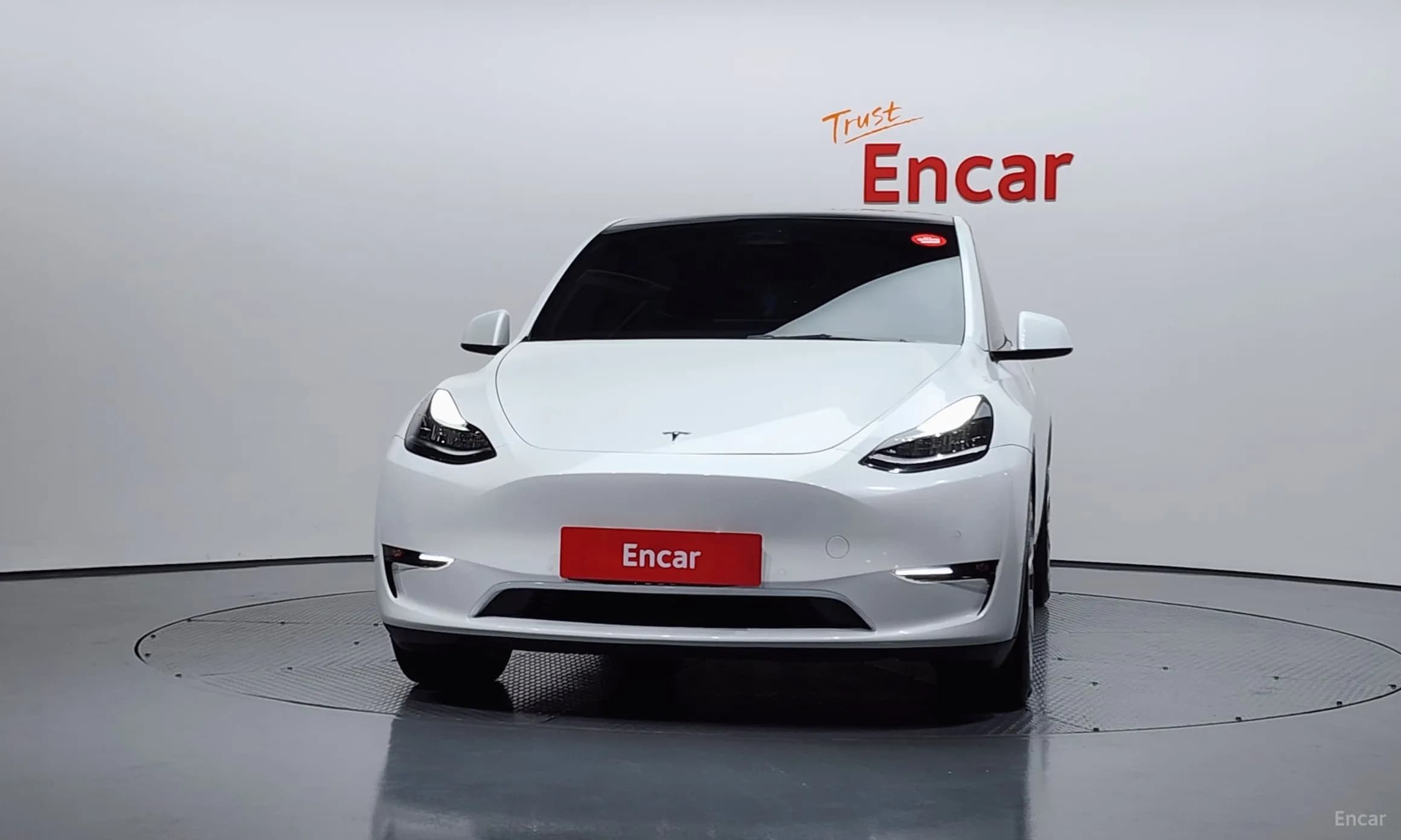 Model Y