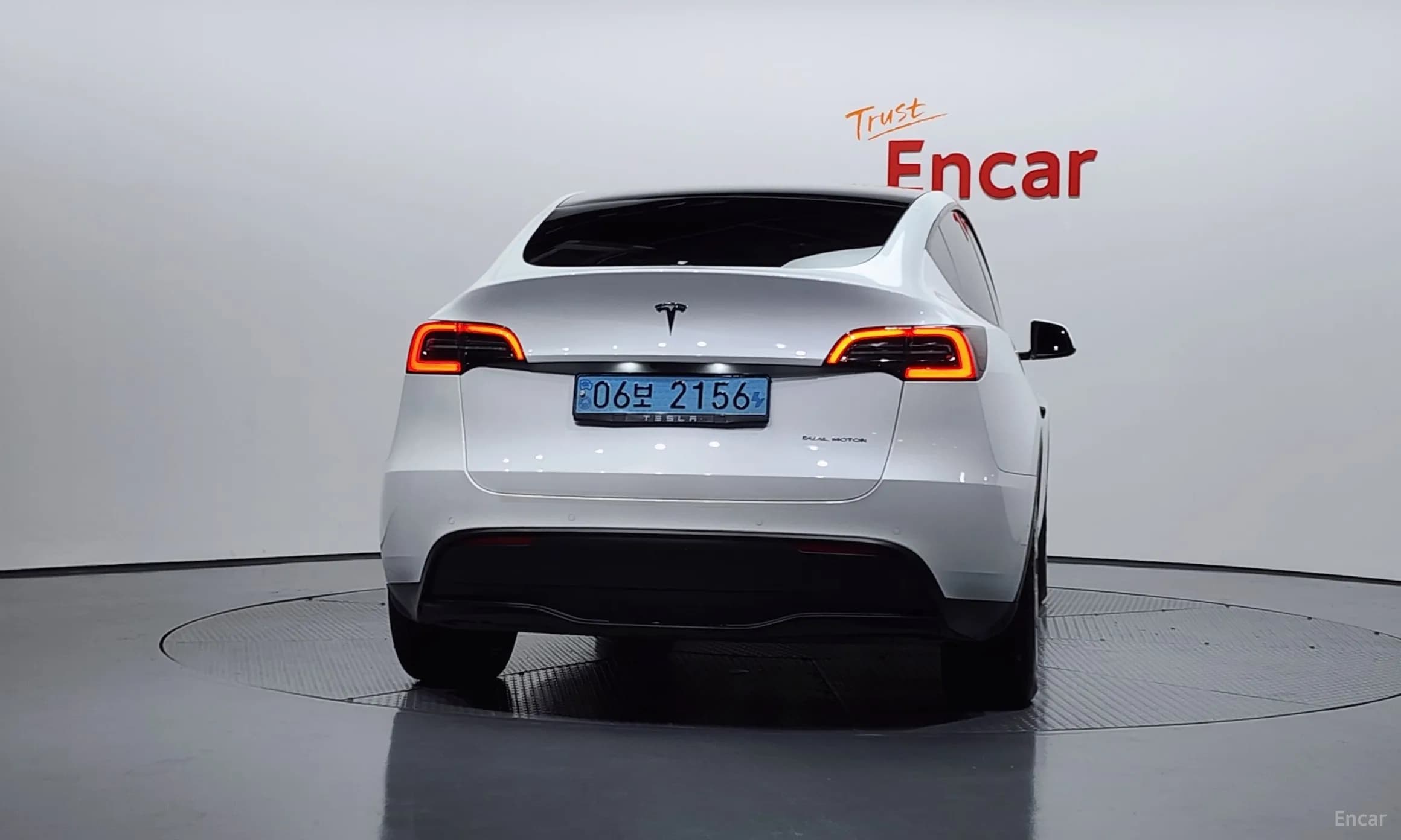 Model Y