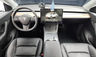 Model Y