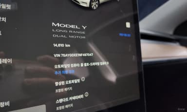 Model Y