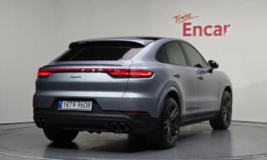 Cayenne (PO536)