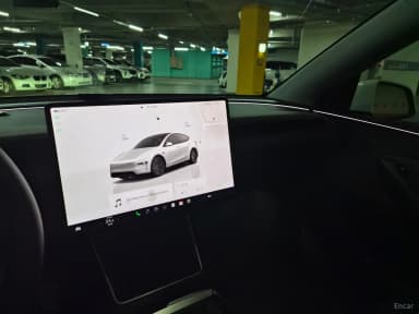 Model Y