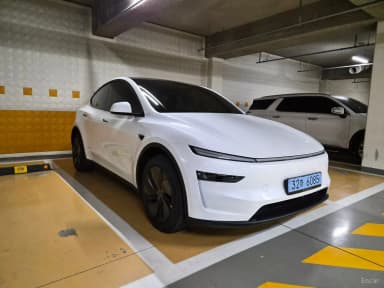 Model Y
