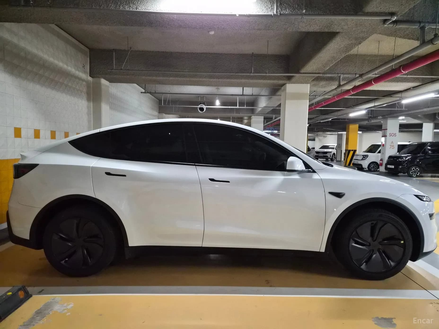 Model Y