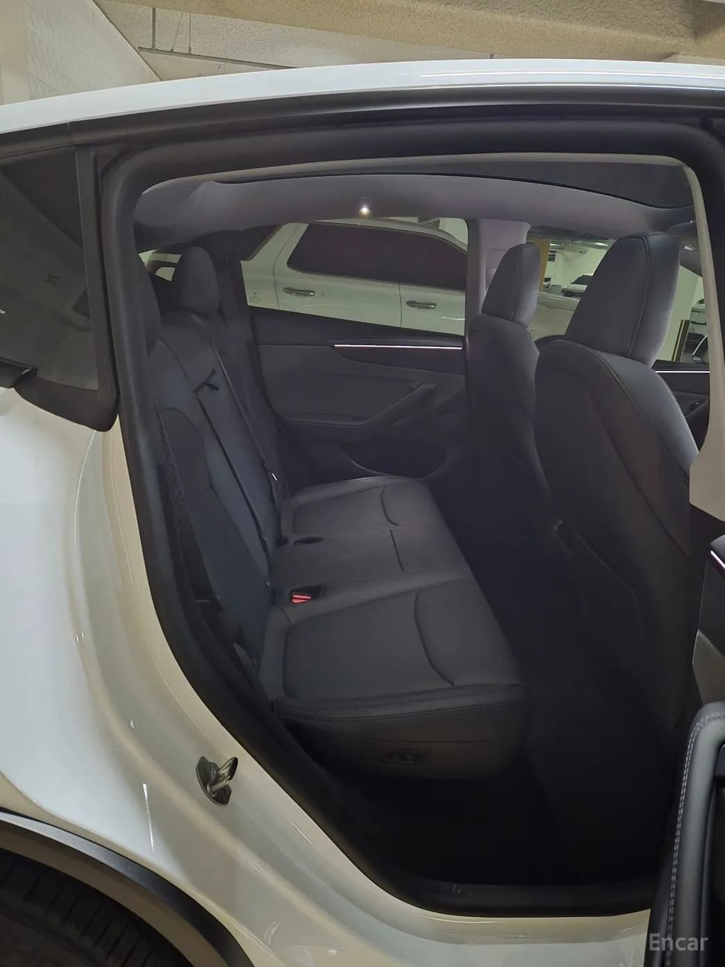 Model Y