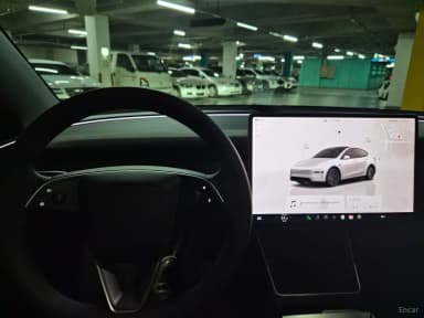 Model Y