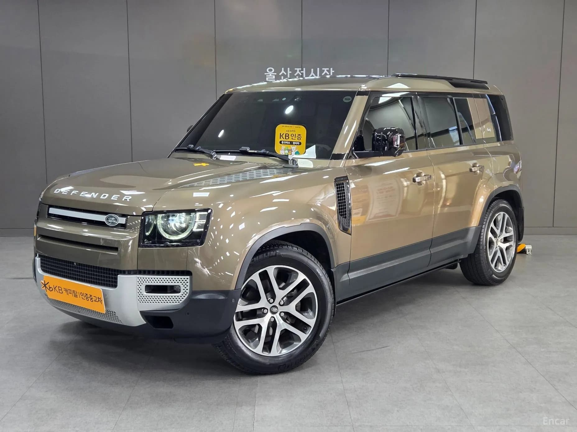 Defender (L663)