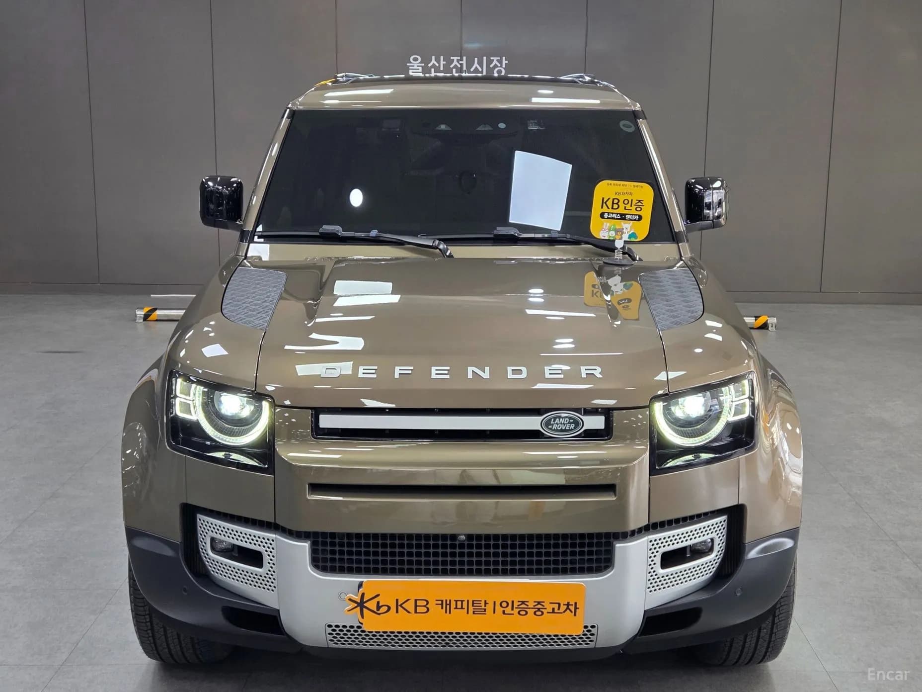 Defender (L663)