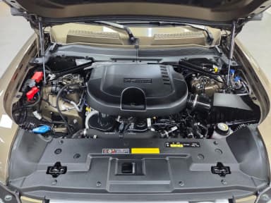 Defender (L663)