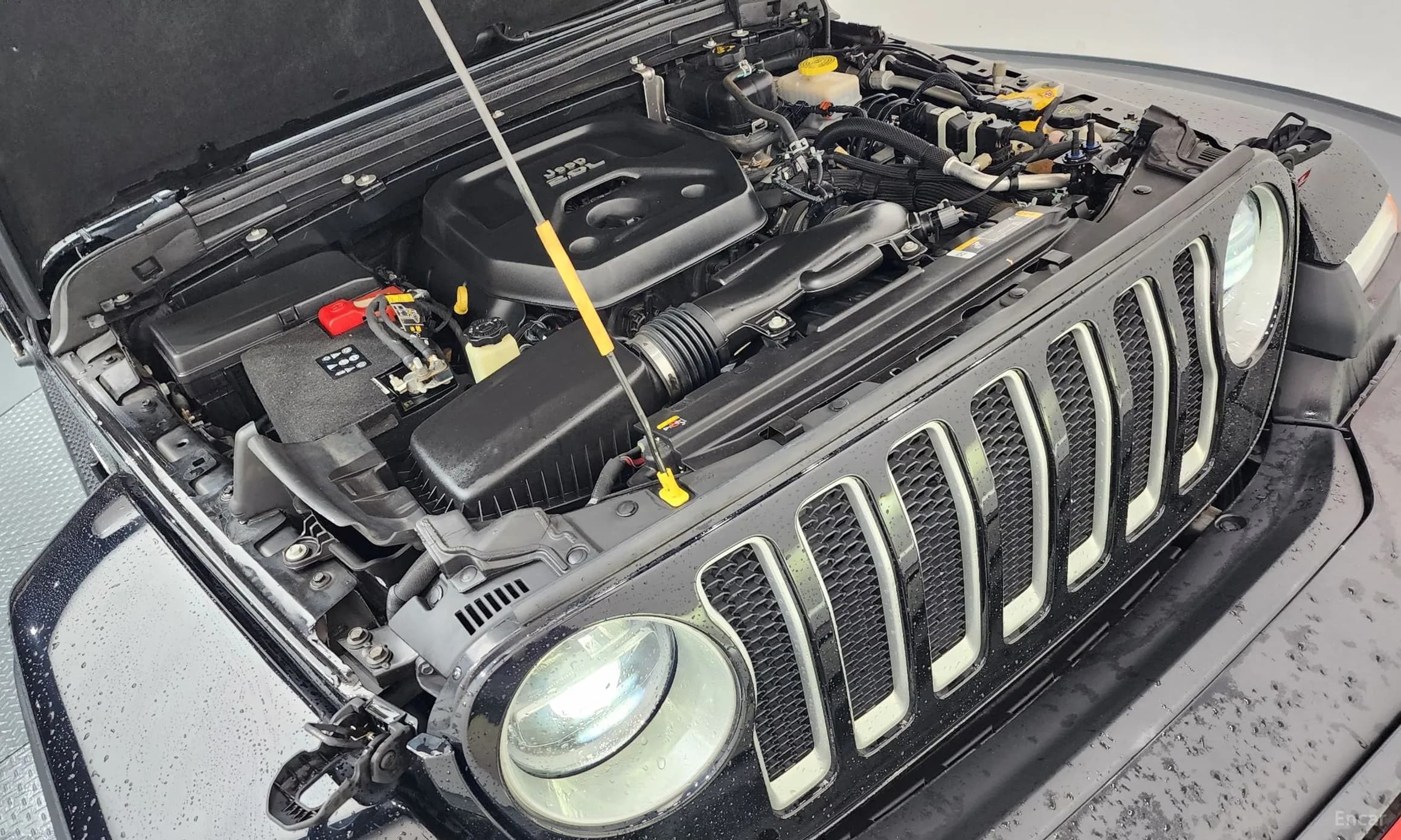 Wrangler (JL)