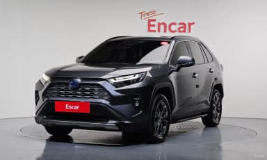 RAV4 5th Generation
