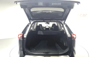RAV4 5th Generation