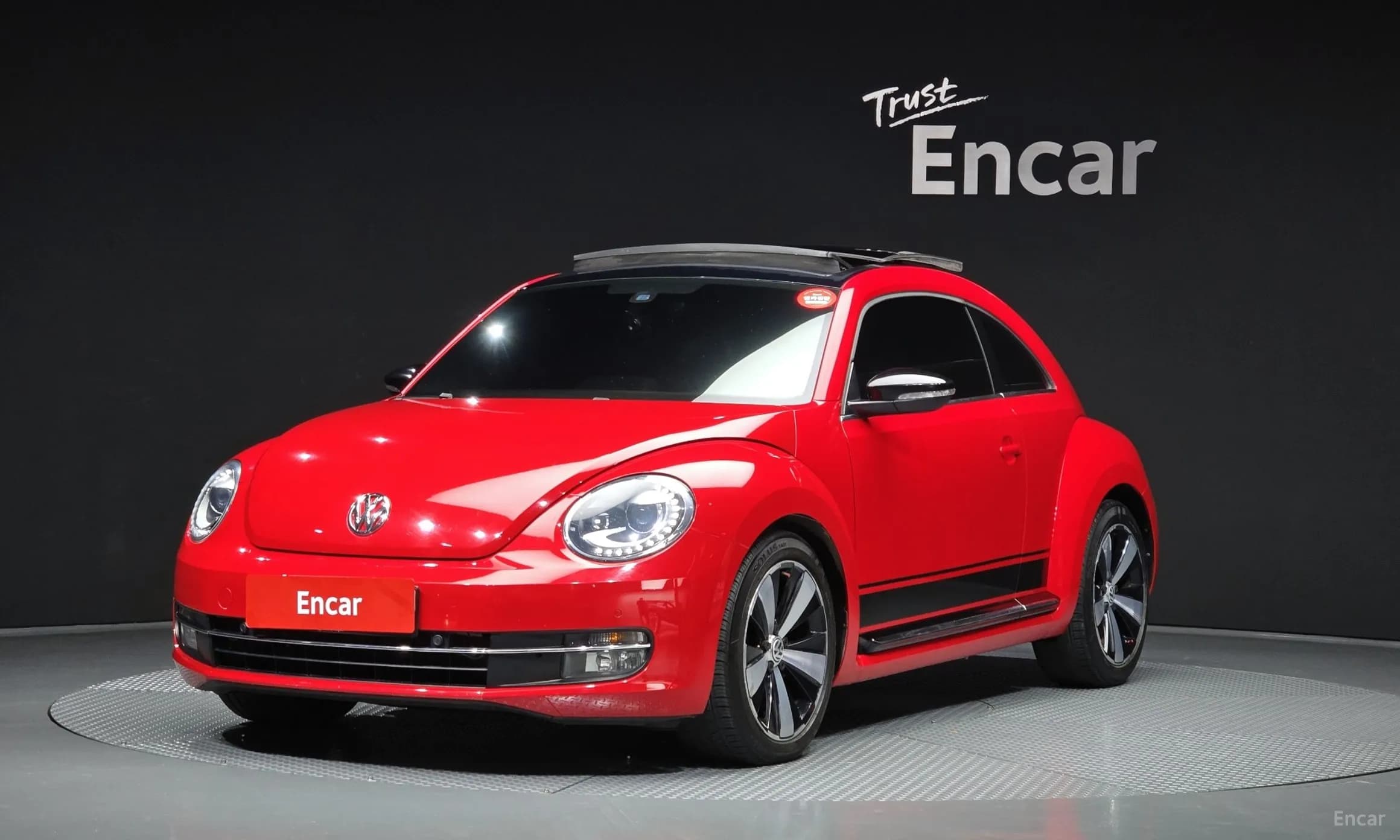 The Beetle