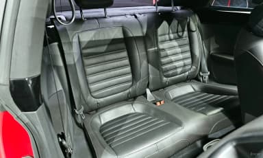 The Beetle