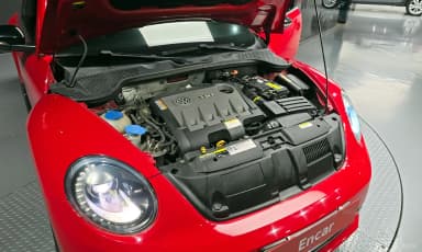 The Beetle