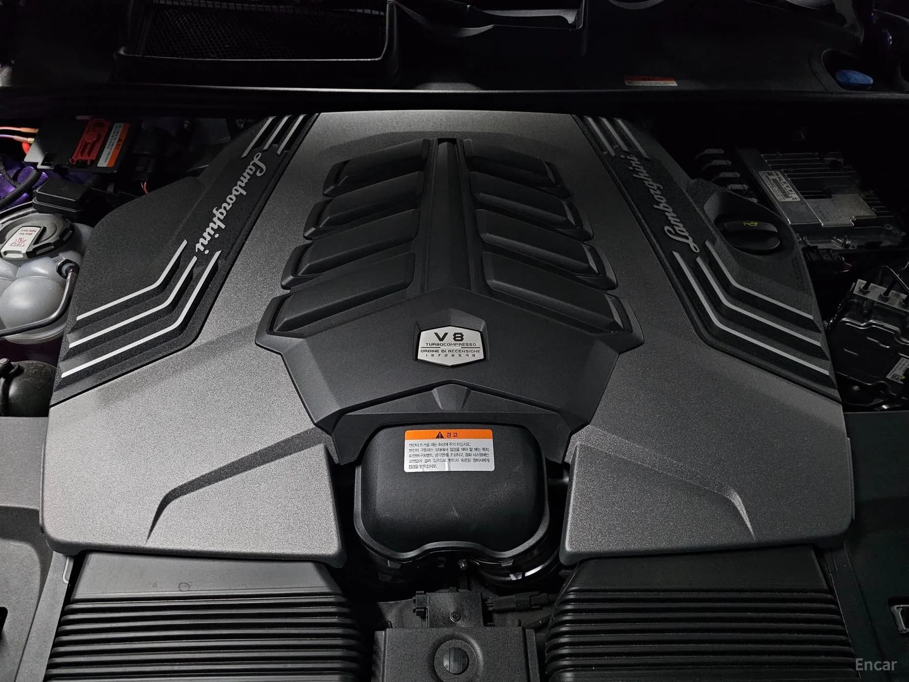 Urus