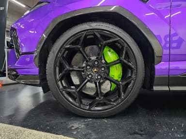 Urus