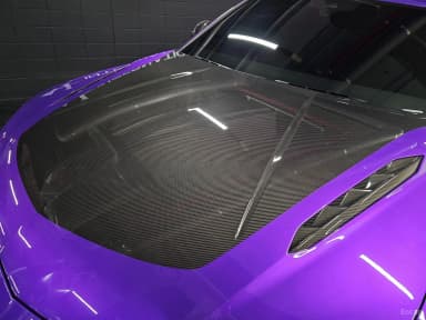 Urus