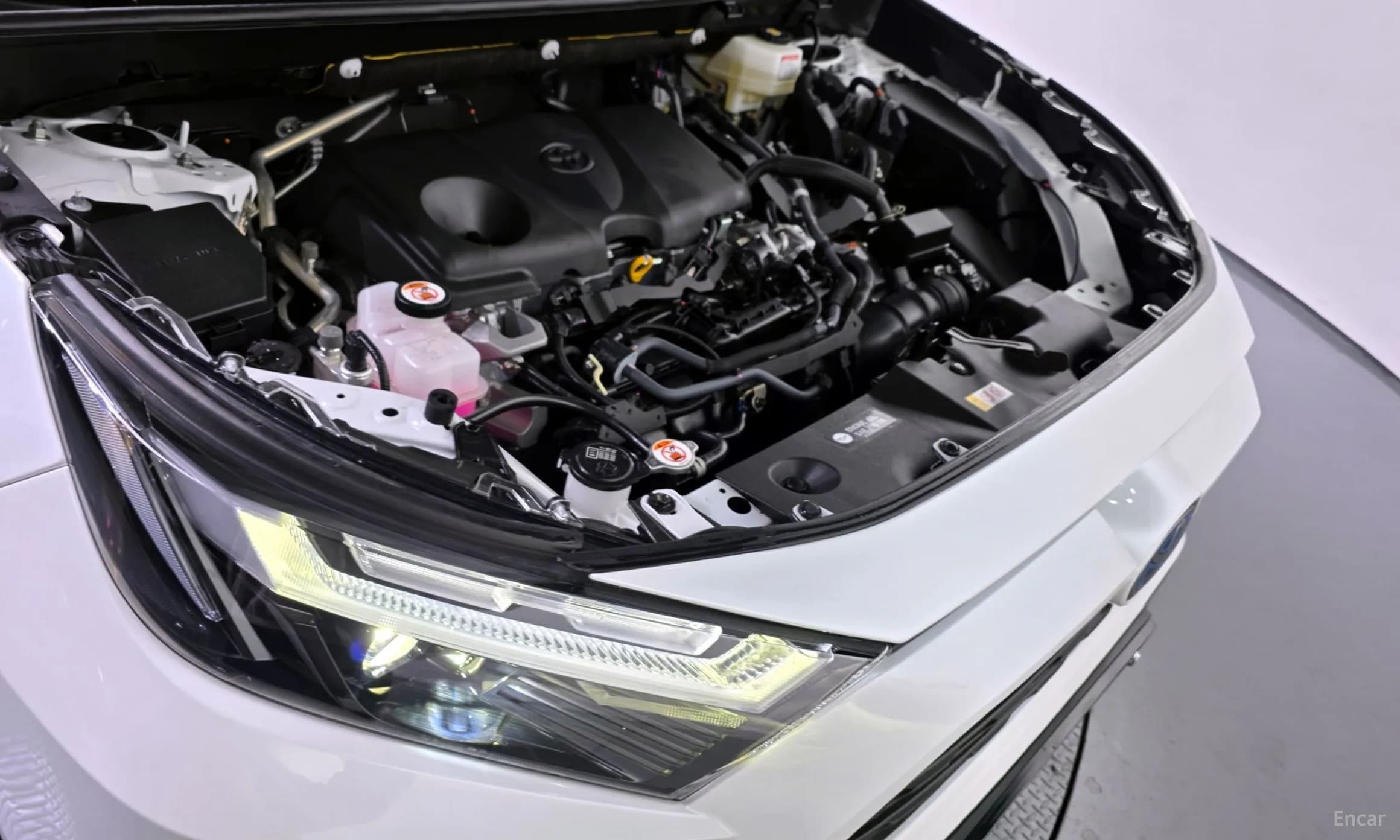 RAV4 5th Generation